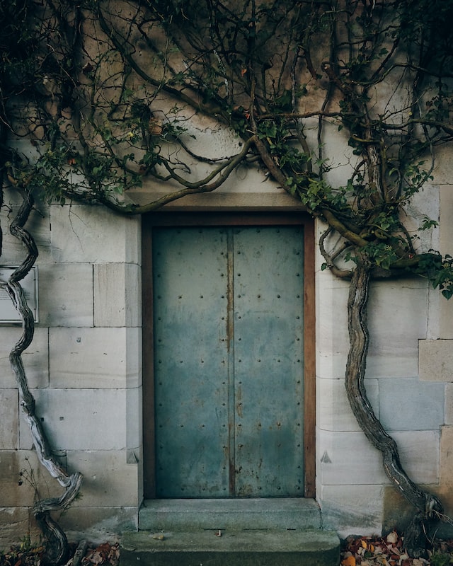 steel door old fashioned with vines 